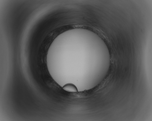 X0000101180763200806270826