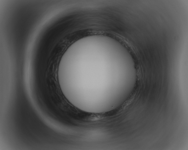 X0000101180764200806270826