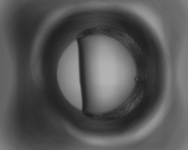 X0000101180766200806270826