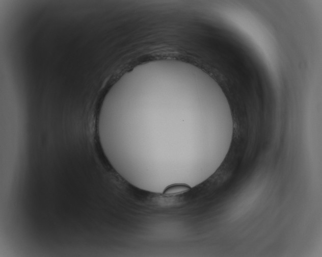 X0000101180767200806270826