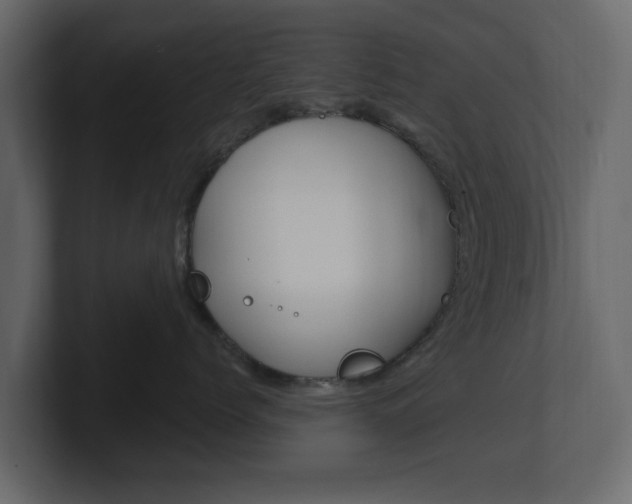 X0000101180768200806270826