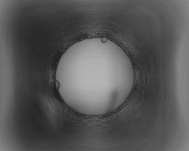X0000101180770200806270826