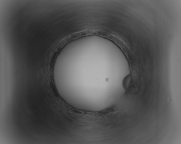 X0000101180773200806270826