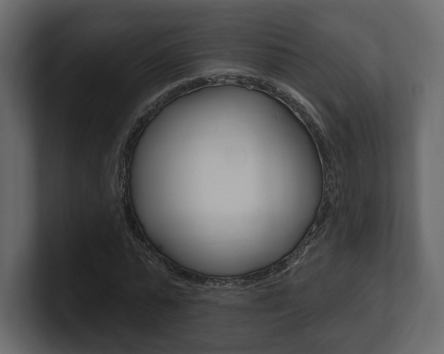 X0000101180775200806270826