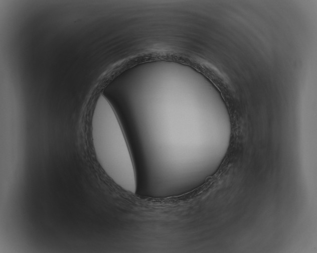 X0000101180776200806270826