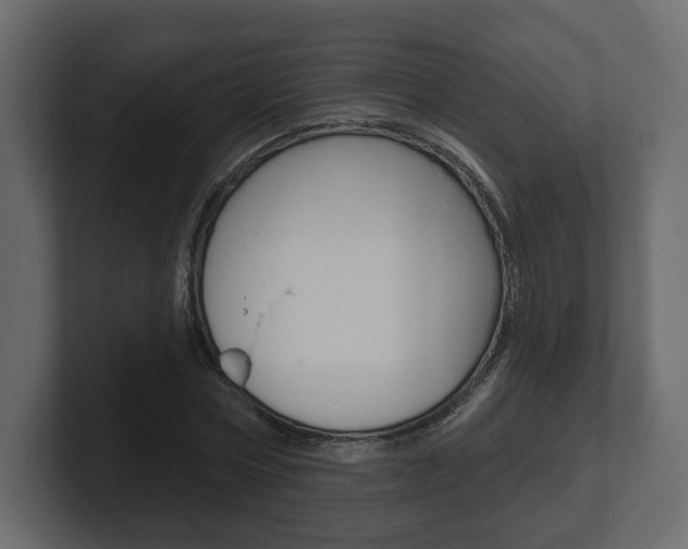 X0000101180778200806270826
