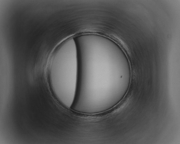 X0000101180779200806270826