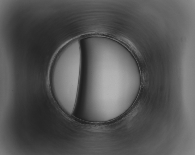 X0000101180780200806270826