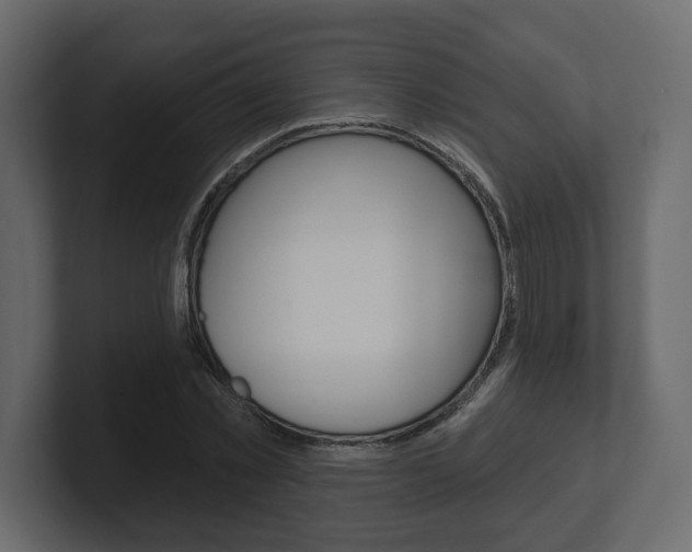 X0000101180781200806270826