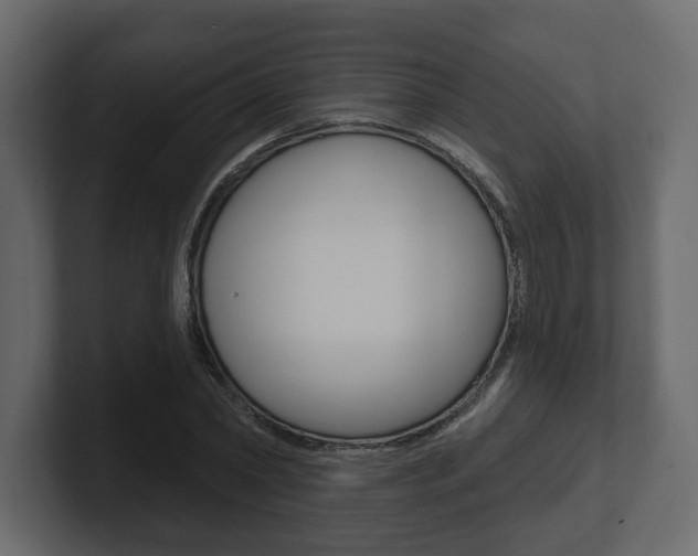 X0000101180782200806270826