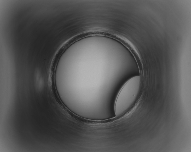 X0000101180783200806270826