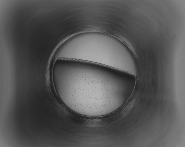 X0000101180784200806270826