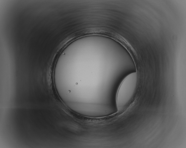 X0000101180786200806270826