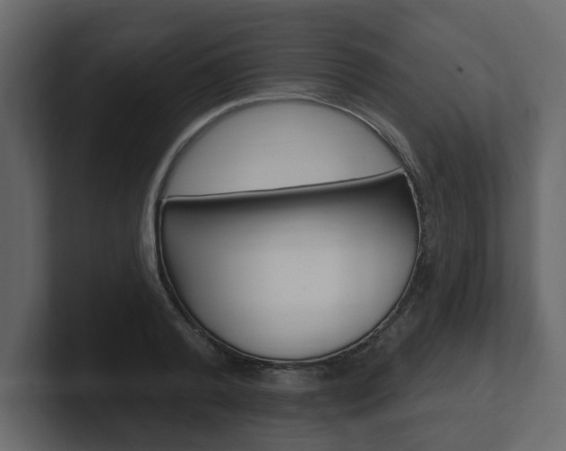X0000101180792200806270825