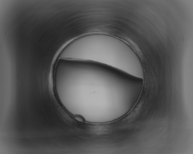 X0000101180796200806270825