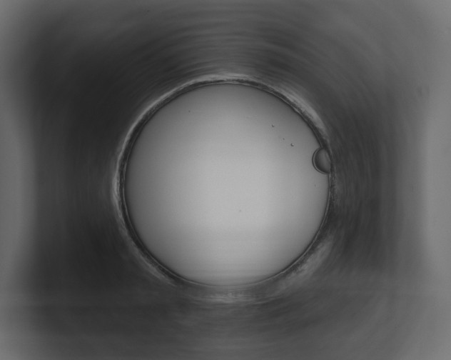 X0000101180797200806270825