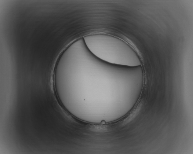 X0000101180802200806270825
