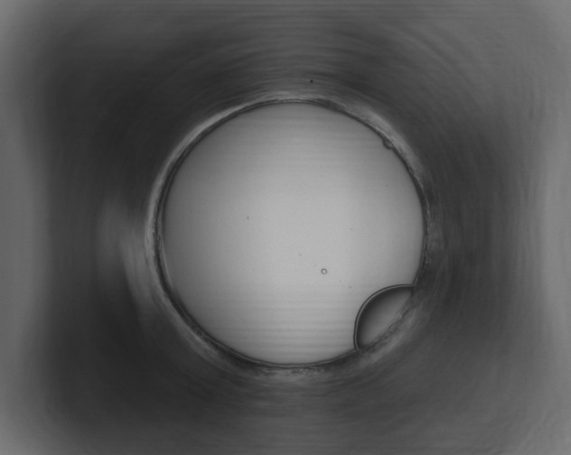 X0000101180803200806270825