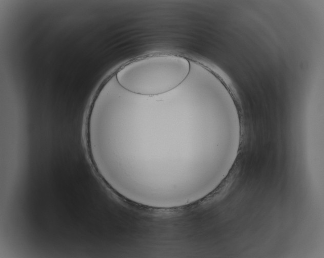 X0000101180807200806270825