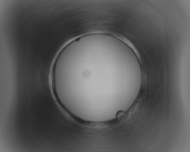 X0000101180811200806270825