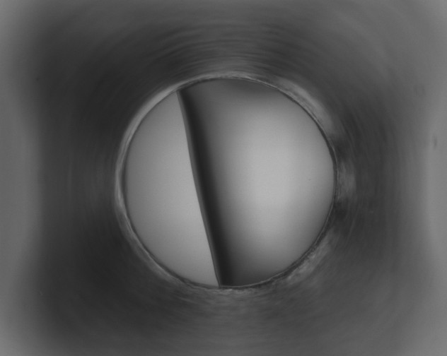 X0000101180812200806270825