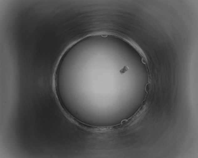 X0000101180813200806270825
