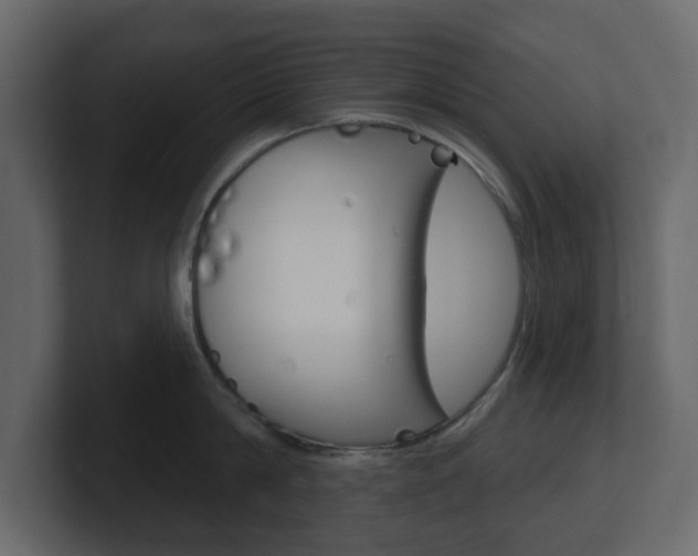 X0000101180814200806270825