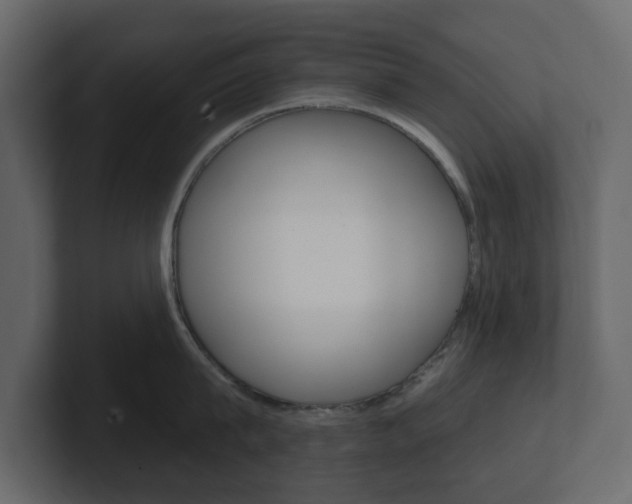 X0000101180815200806270825