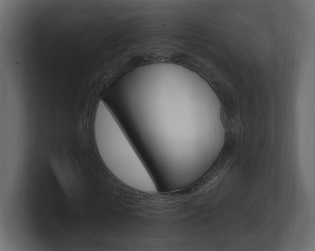 X0000101180818200806270824
