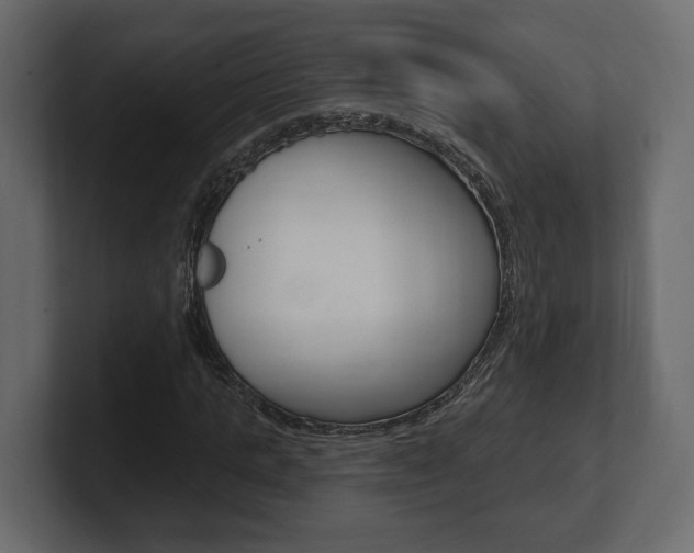 X0000101180821200806270825