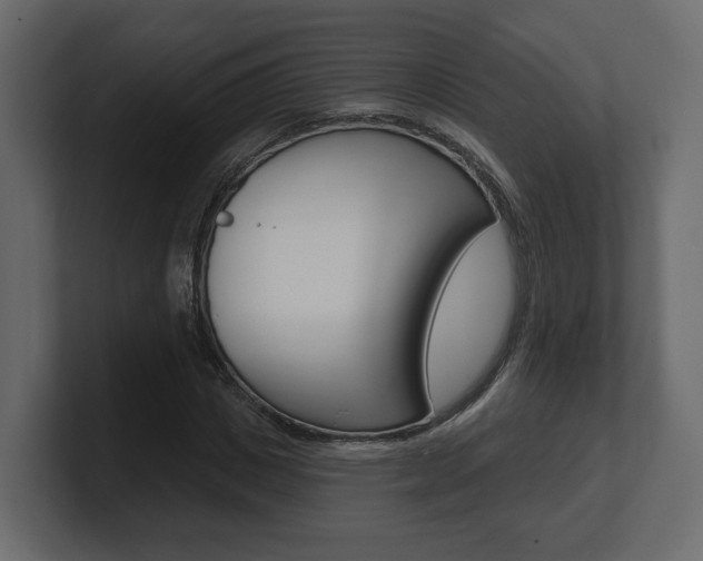 X0000101180825200806270825