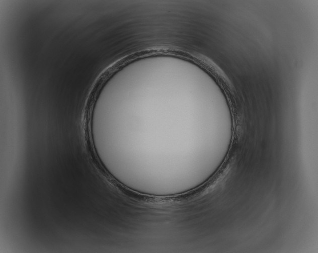 X0000101180831200806270825