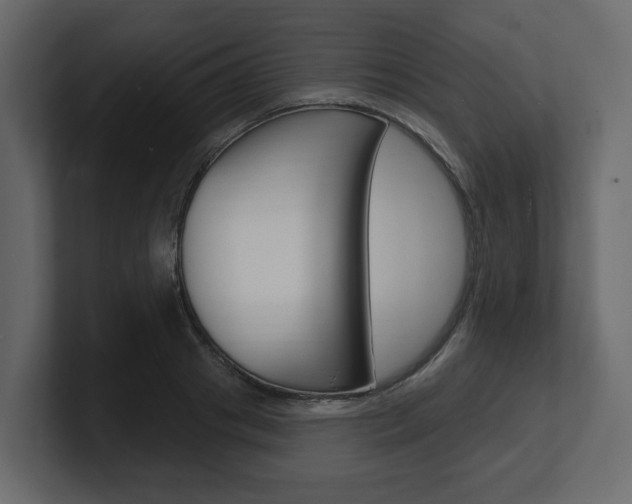 X0000101180841200806270825