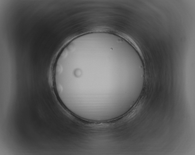X0000101180851200806270825