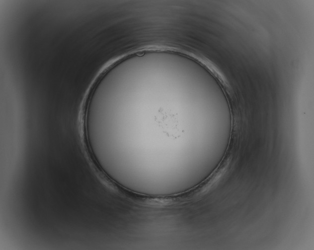 X0000101180854200806270825