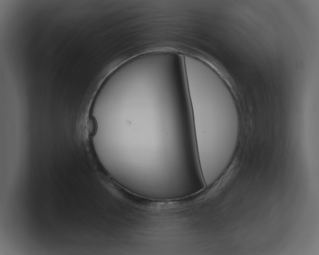 X0000101180858200806270825