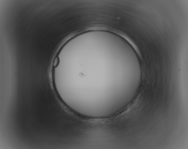 X0000101180861200806270825