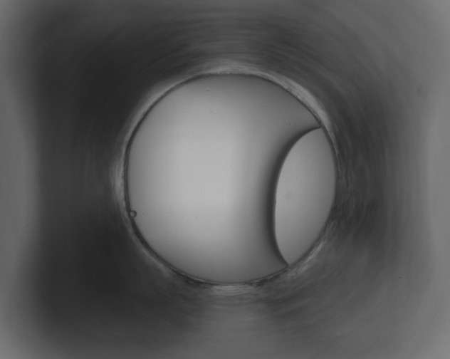 X0000101180863200806270825