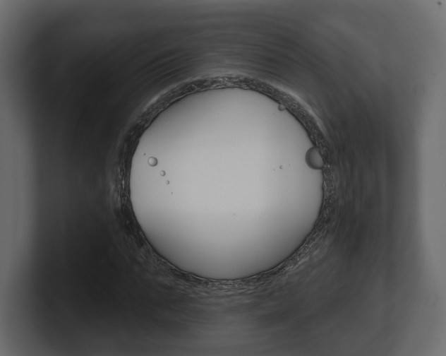 X0000101180871200806270824
