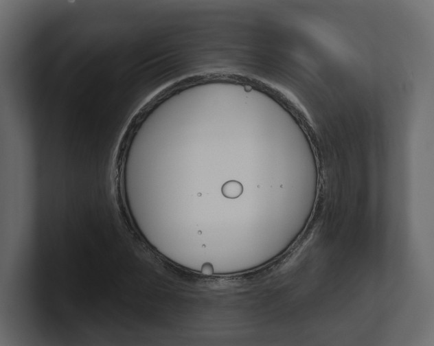 X0000101180879200806270824