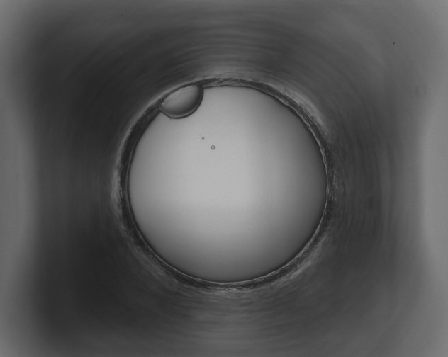 X0000101180880200806270824