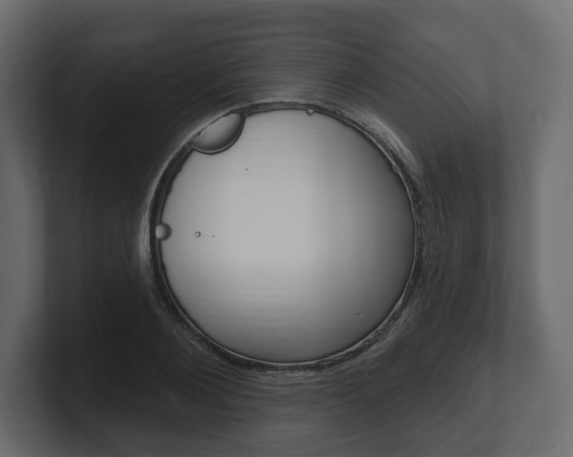 X0000101180884200806270824