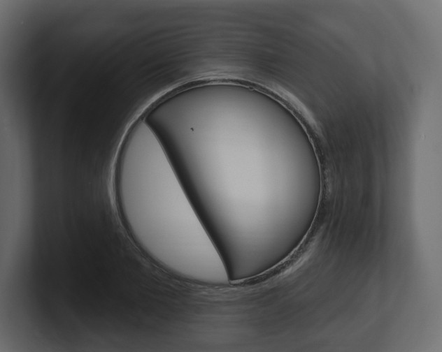X0000101180885200806270824