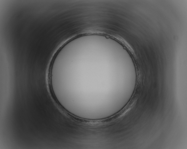 X0000101180893200806270824
