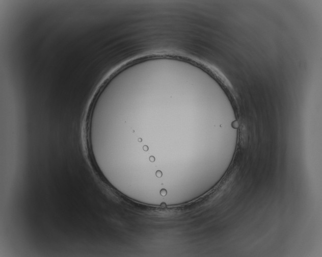 X0000101180895200806270824