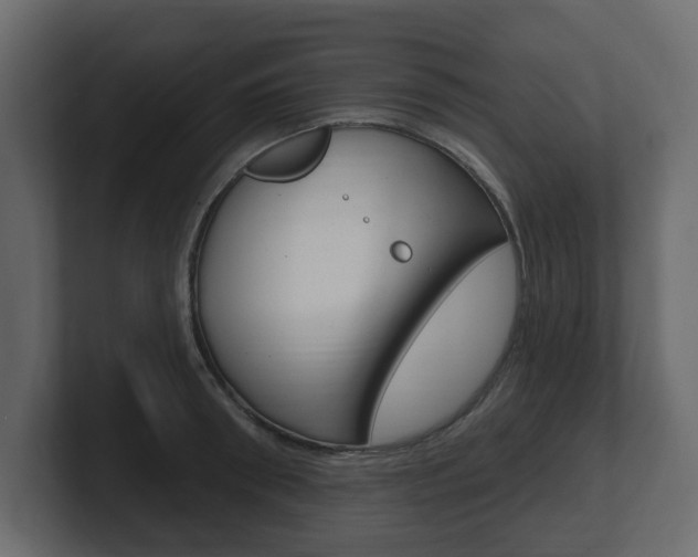 X0000101180898200806270824