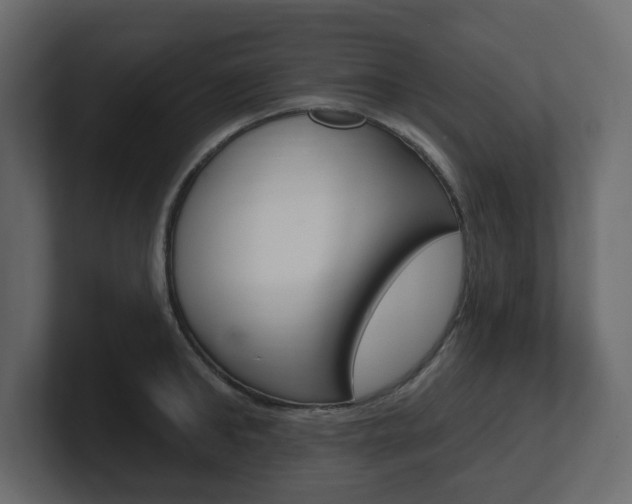 X0000101180902200806270824