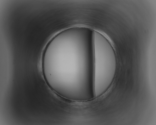 X0000101180910200806270824