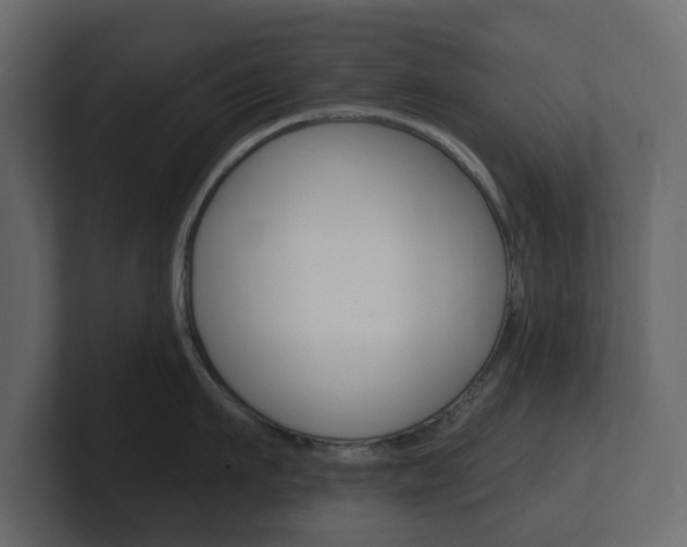 X0000101180911200806270824