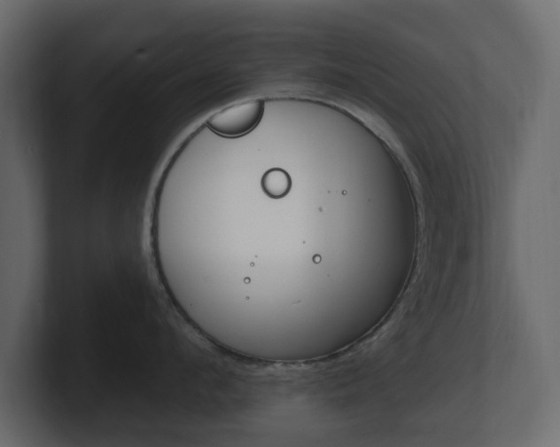 X0000101180912200806270824